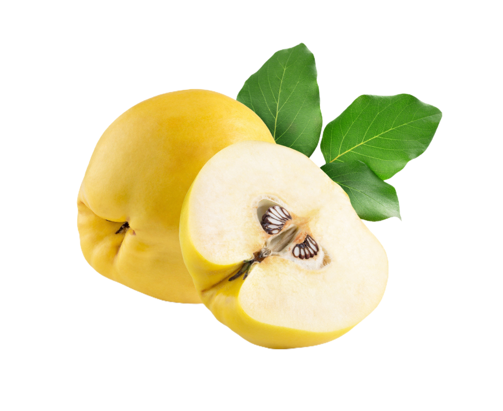 Golden Quince